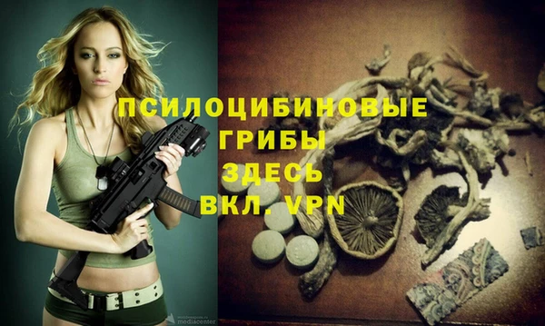 a pvp Беломорск
